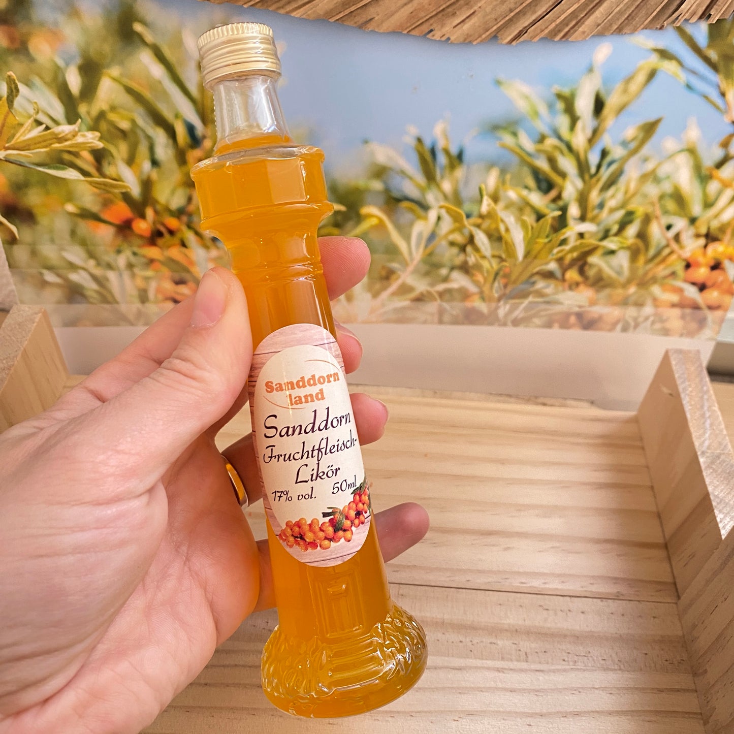 Sanddorn Fruchtfleisch Likör -Leuchtturm- 50ml