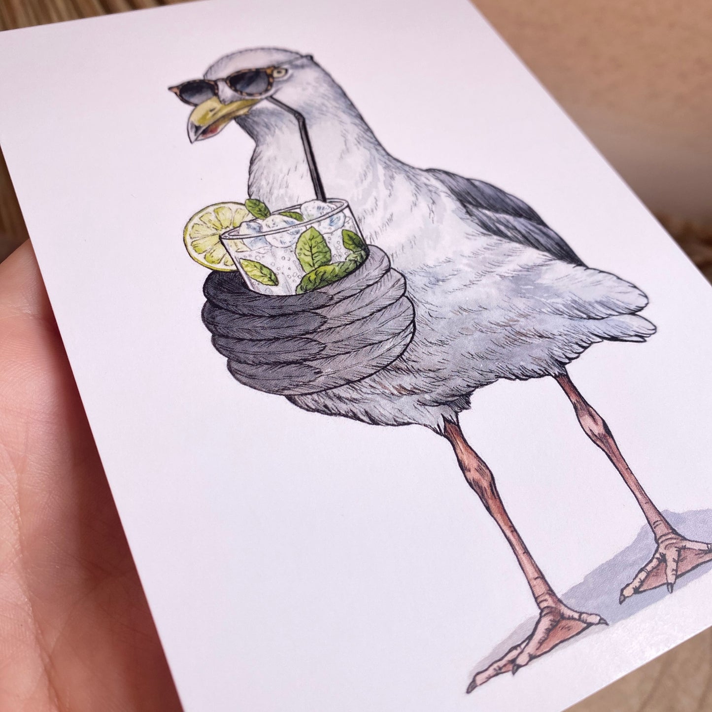 Karte -Schluckmöwe-