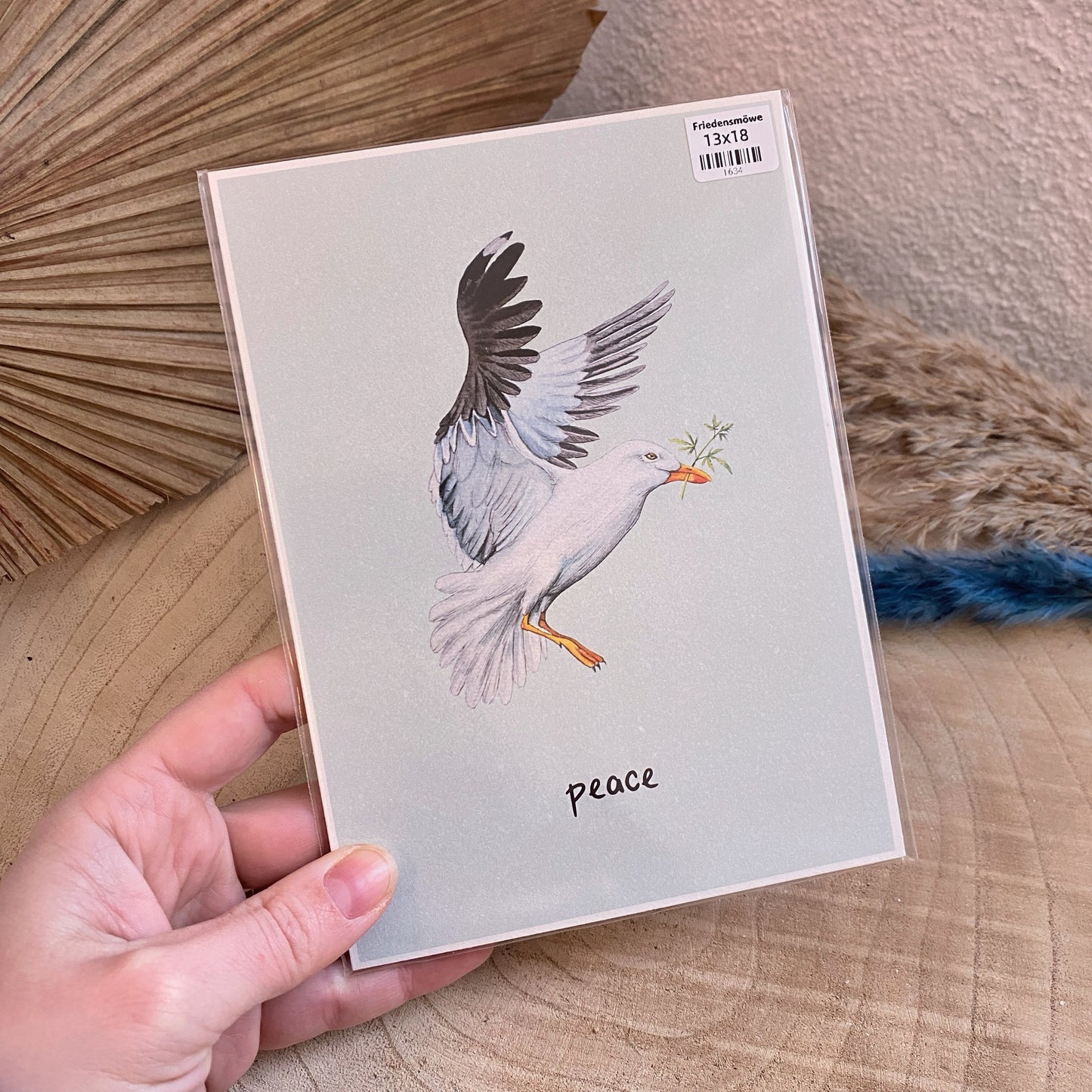 Kunstdruck 13x18 -Friedensmöwe-