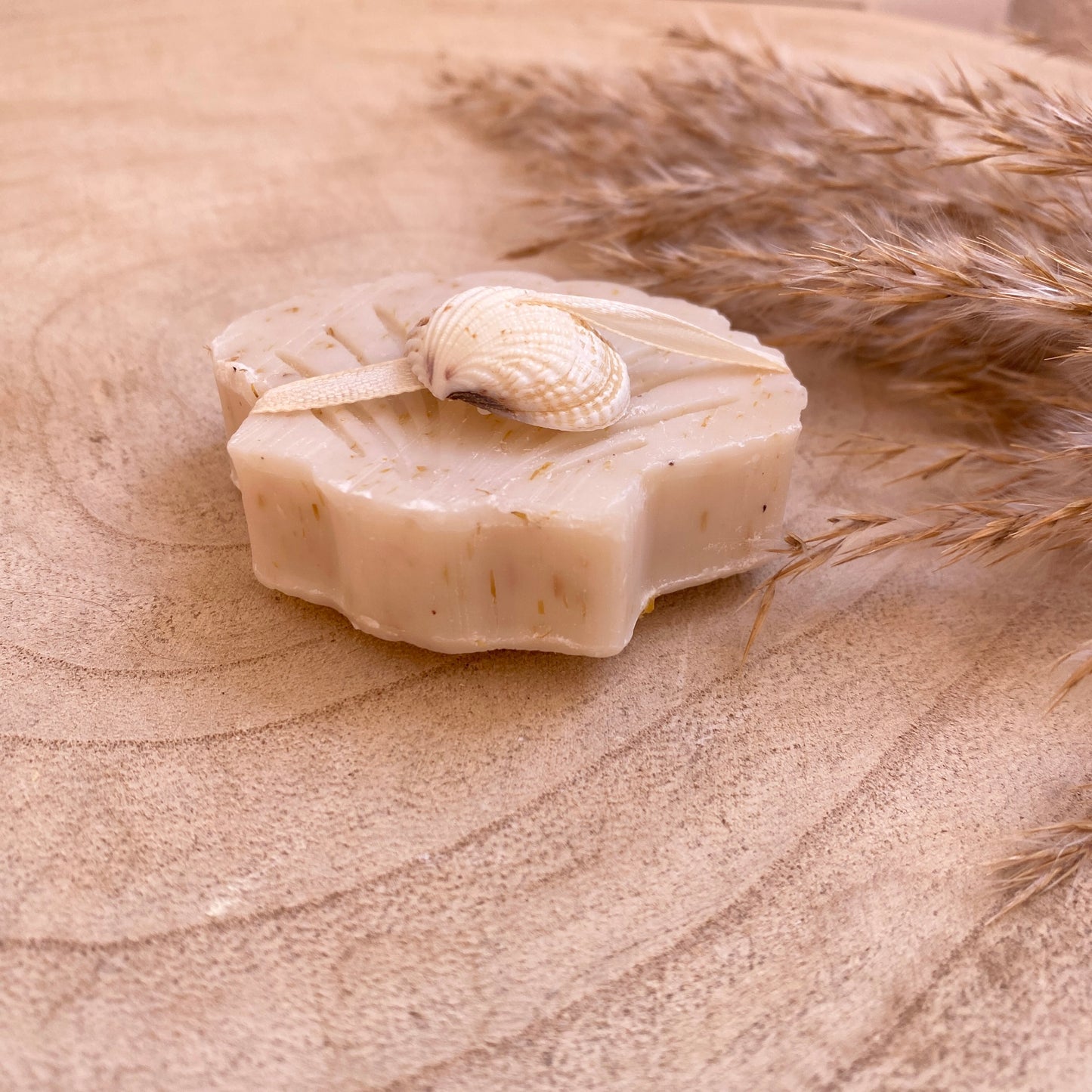 Seife -Muschel Baumwolle-