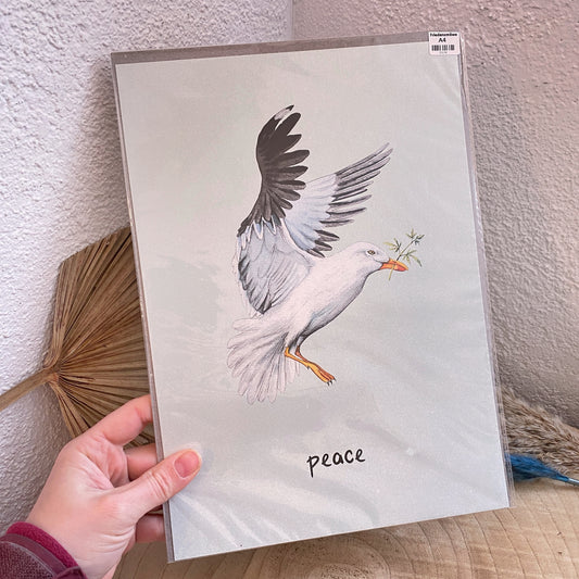 Kunstdruck A4 -Friedensmöwe-