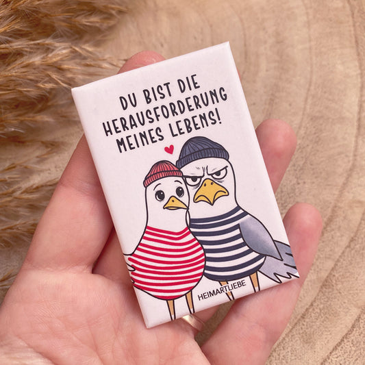 Magnet -Herausforderung meines Lebens-