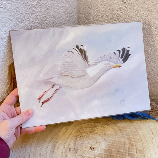 Kunstdruck A4 -Möwe-