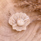Seife -Muschel Baumwolle-