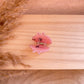 Haarklammer klein -Schwein-