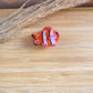 Haarklammer klein -Nemo 2-