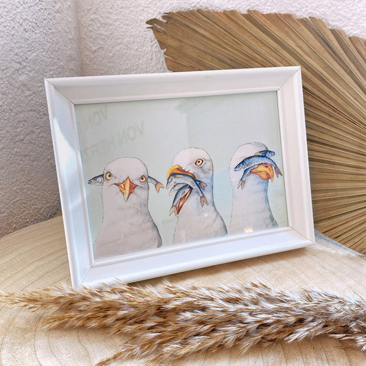 Kunstdruck 13x18 -3er Möwen-