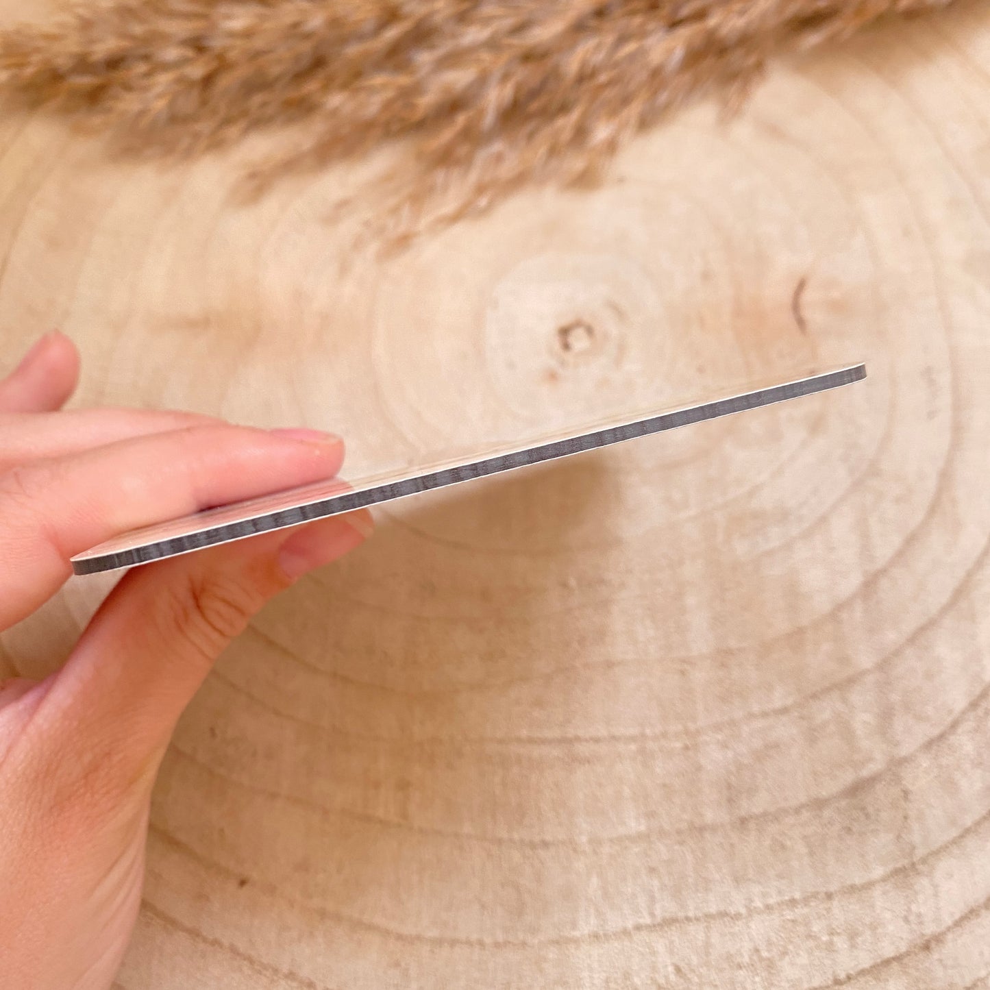 Untersetzer -Seehund-