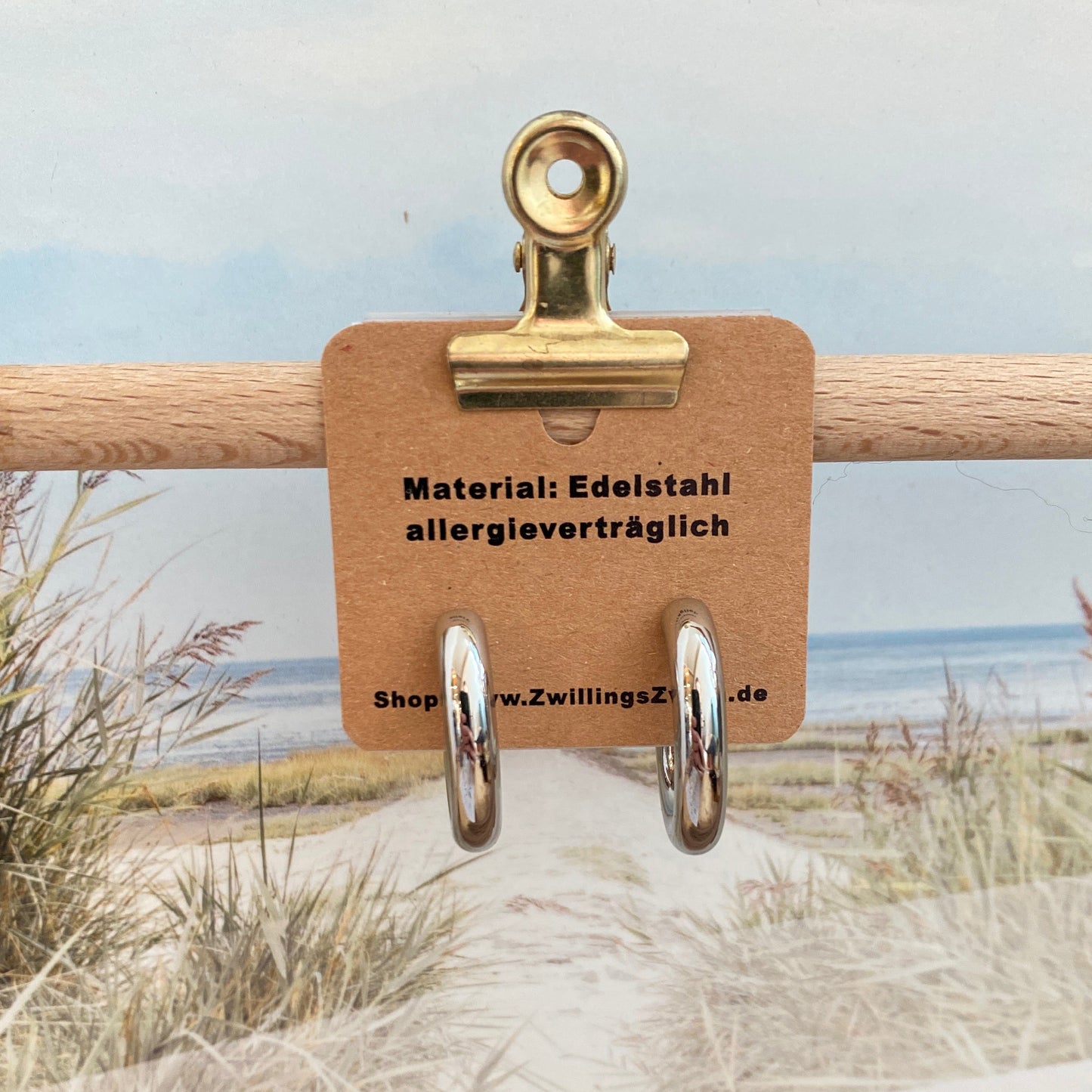 Ohrhänger Edelstahl -Oval Silber-