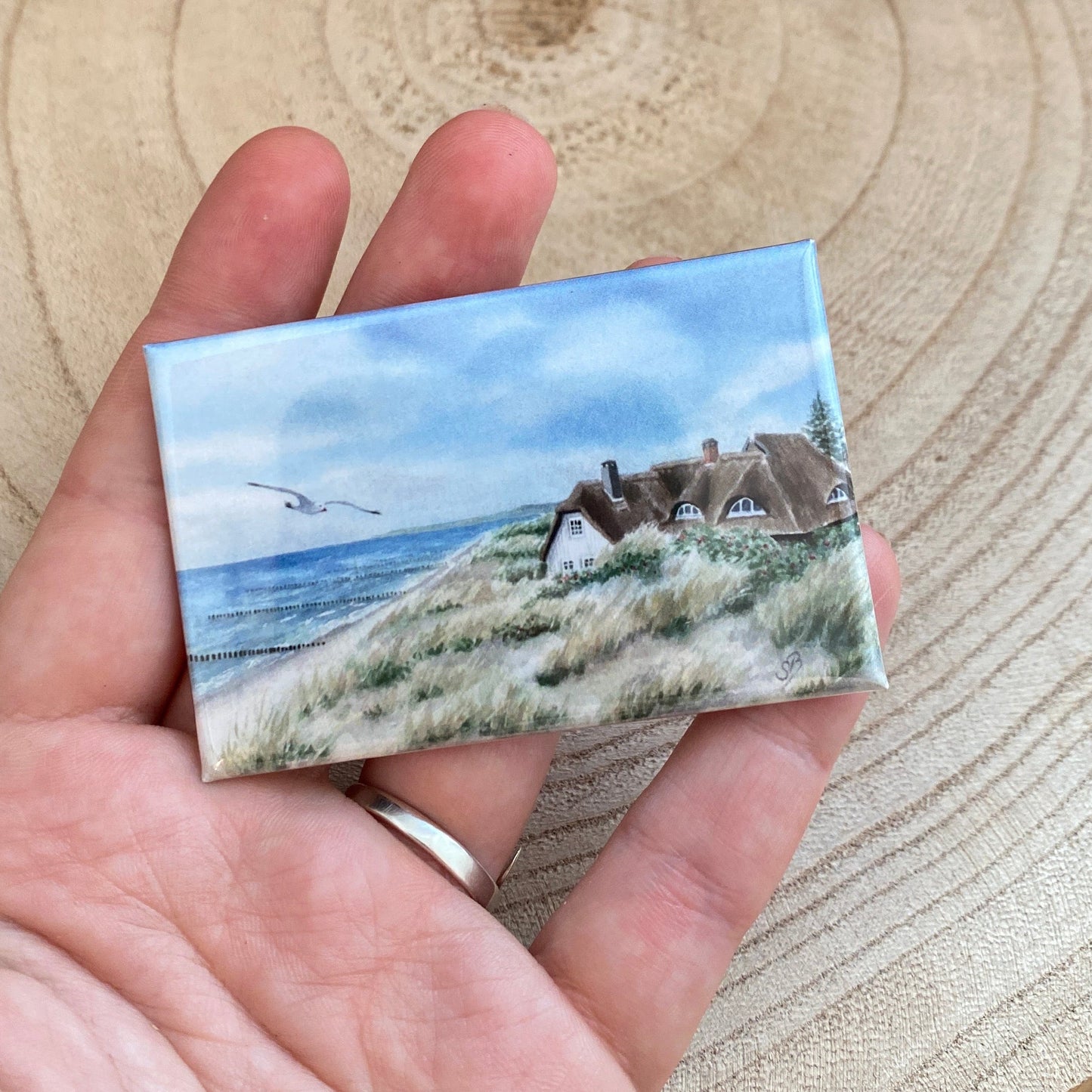 Magnet -Darß Dünen Reethaus-