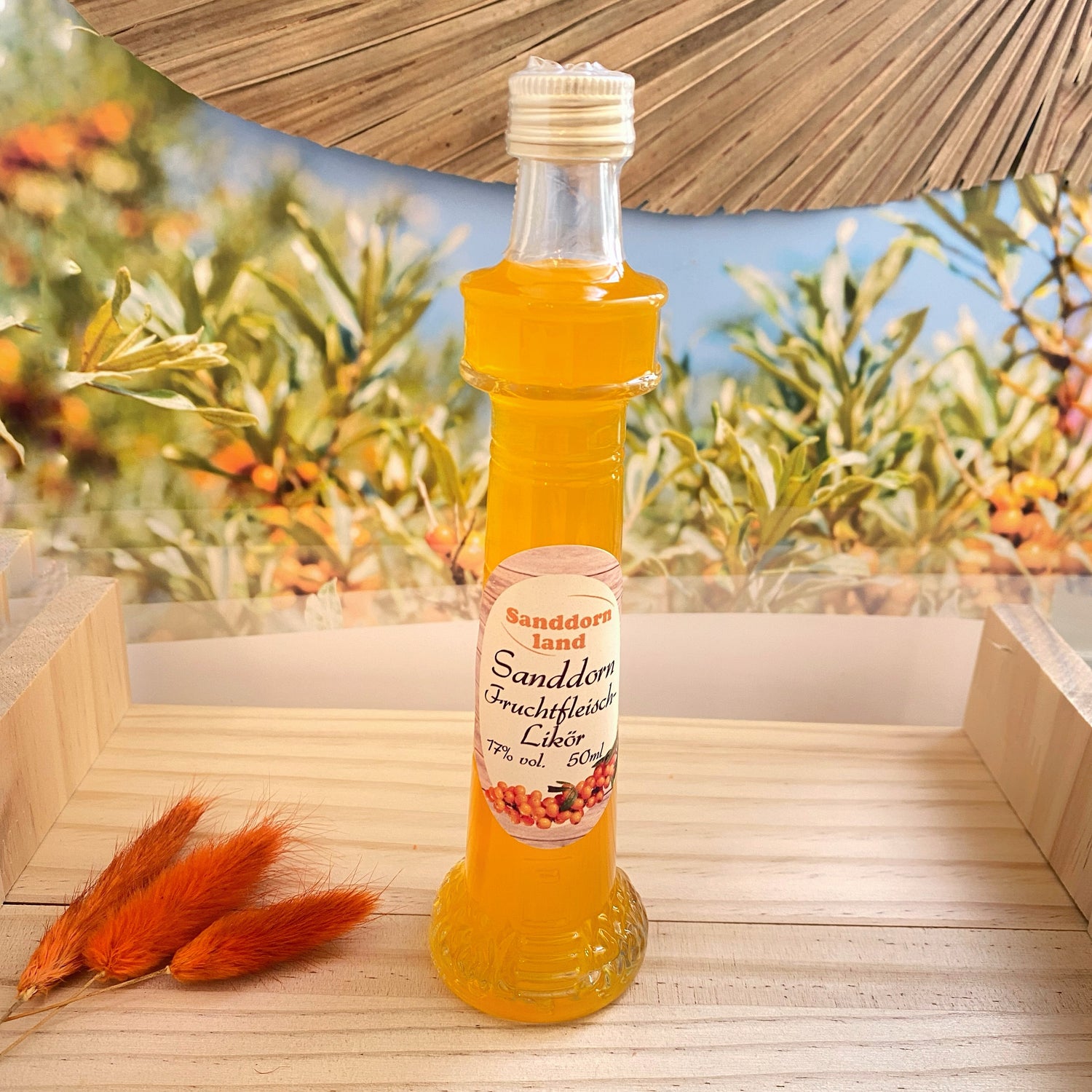 neue Produkte