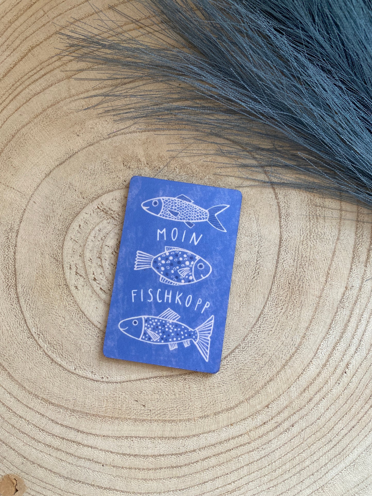 Magnet -Moin Fischkopp-