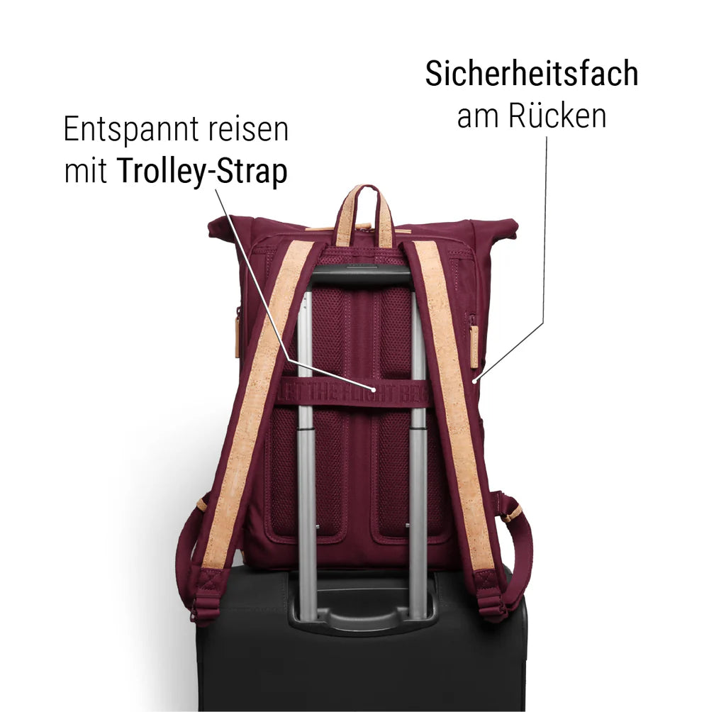 Rucksack Sperling Rolltop Daily *Bordeaux/Kork Hellbraun* gepolstert