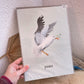 Kunstdruck A4 -Friedensmöwe-